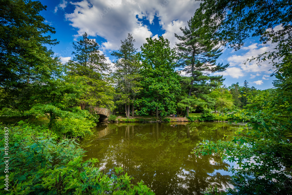 Pond at Elizabeth Park, in Hartford, Connecticut.