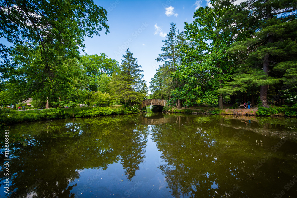 Pond at Elizabeth Park, in Hartford, Connecticut.