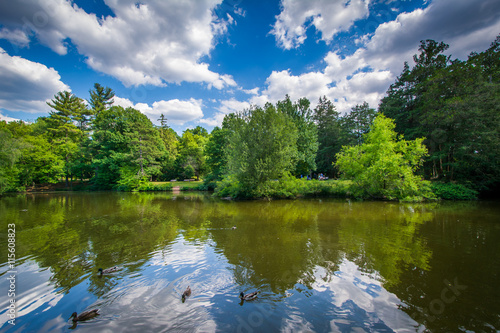 Fototapeta Naklejka Na Ścianę i Meble -  Pond at Elizabeth Park, in Hartford, Connecticut.