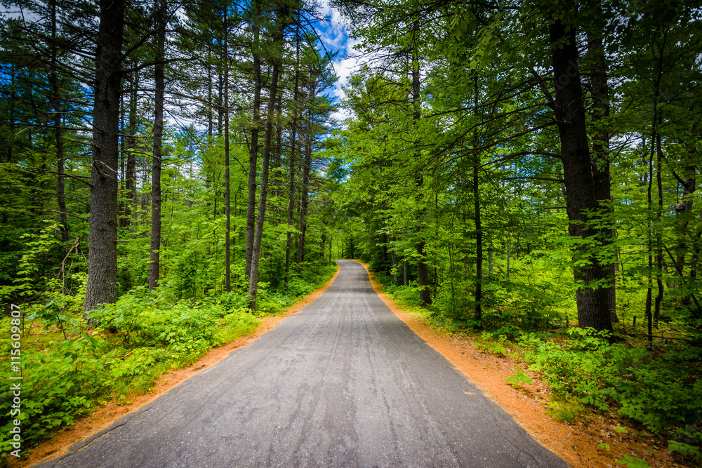 Road through a forest at Bear Brook State Park, New Hampshire. Road through a forest at Bear Brook State Park, New Hampshire.
