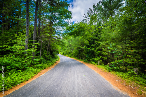 Road through a forest at Bear Brook State Park, New Hampshire. photo