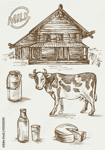 Set of images of dairy products and rural house. Cow, cottage, bottle and a glass, milk cans and label. Hand drawn doodle vector illustration. 