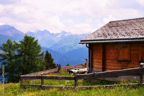 Mountain view with wooden cabin