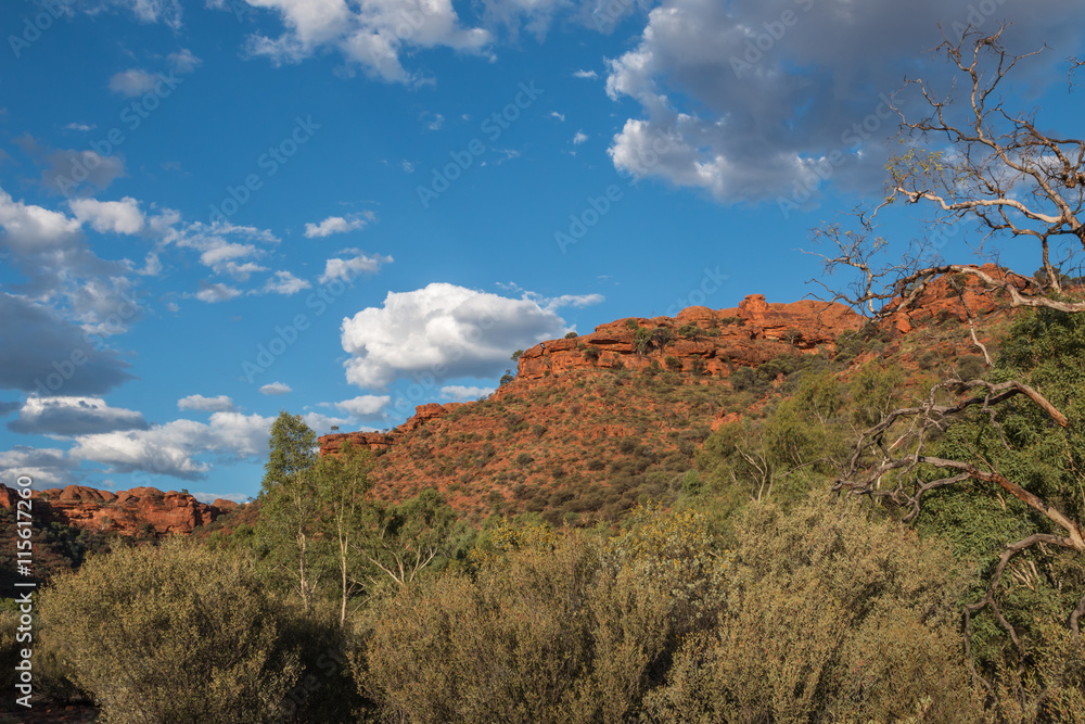 Fototapeta premium Landscape of the Kings Canyon, Outback of Australia