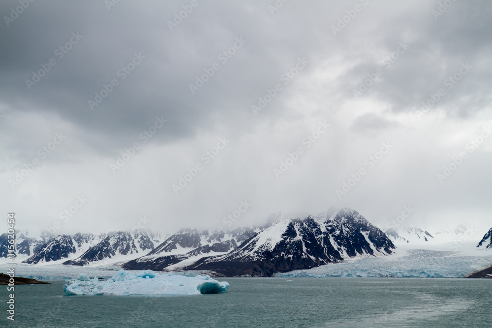 svalbard view of the landscape during the summer season svalbard view of the landscape during the summer season