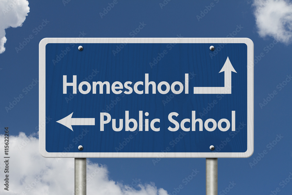 Obraz premium Difference between going to HomeSchool or Public School