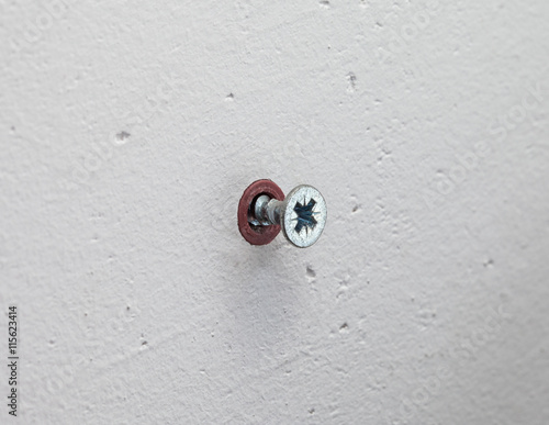 wall screw
