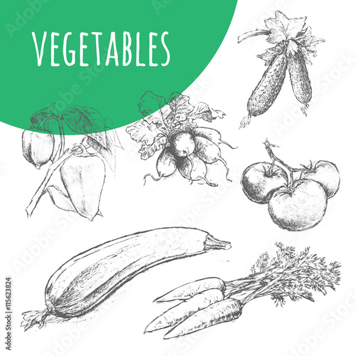 Vegetables sketch pencil illustration. Organic vegetarian food.