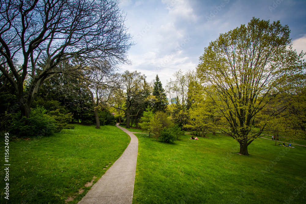 Trees along a walkway at High Park, in Toronto, Ontario.