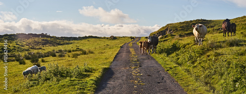Obraz na płótnie Strada di campagna - Islay, Scozia