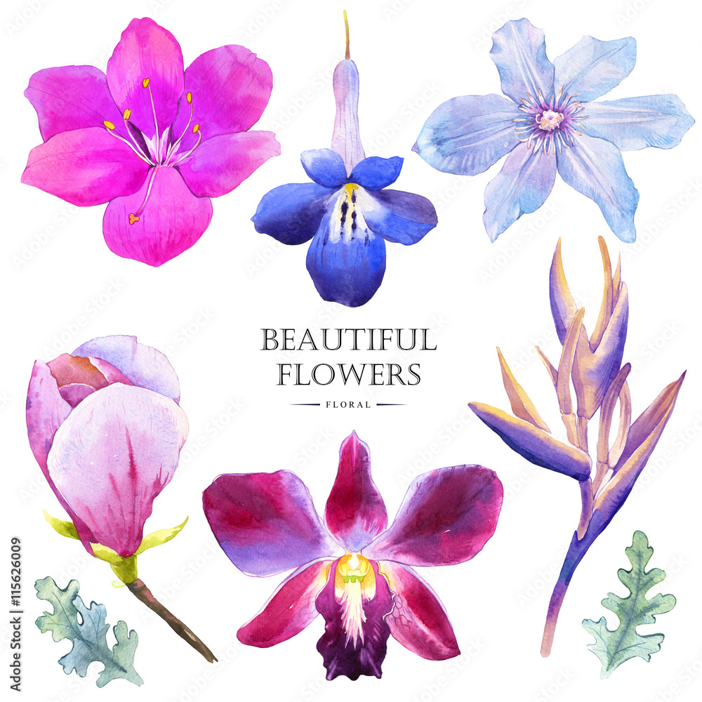 Naklejka premium Botanical illustration with realistic tropical flowers and leave
