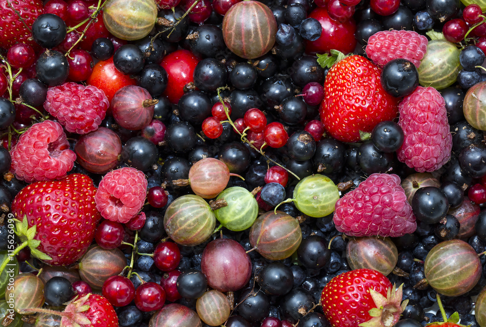 Fototapeta premium berry background with fresh raspberries, blueberries, currants, strawberries, cherries,