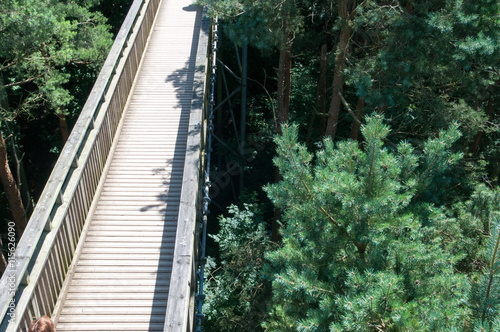 Fototapeta Naklejka Na Ścianę i Meble -  Wooden footbridge crossing high up over a forest