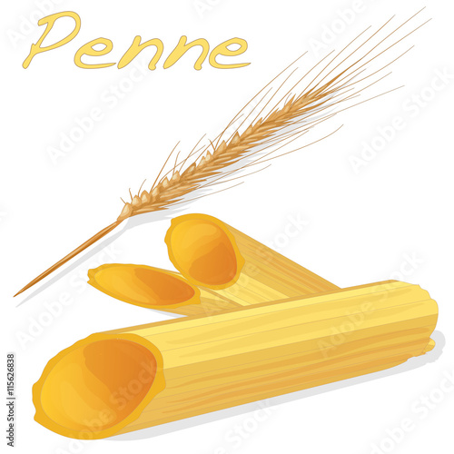uncooked penne pasta