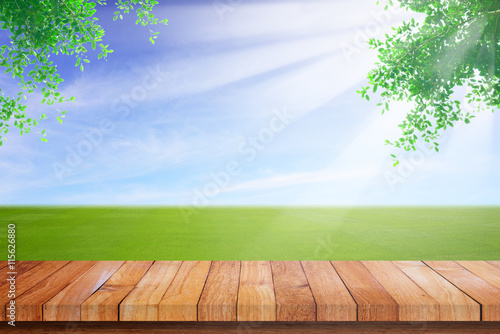 Nature green field and leaf with wood floor background