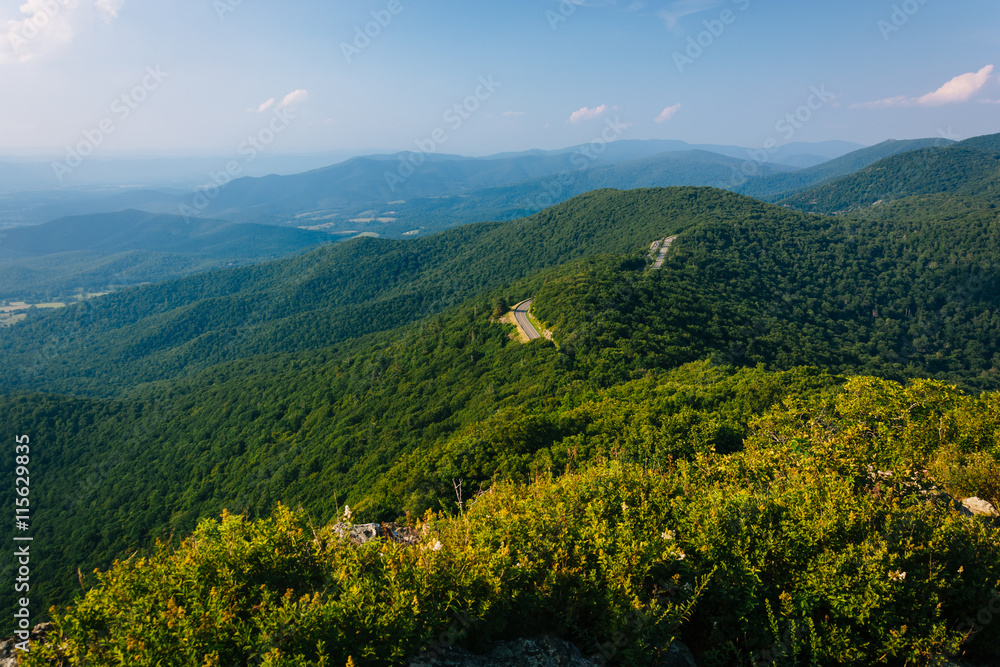 Naklejka premium View of the Blue Ridge Mountains from Little Stony Man Cliffs in