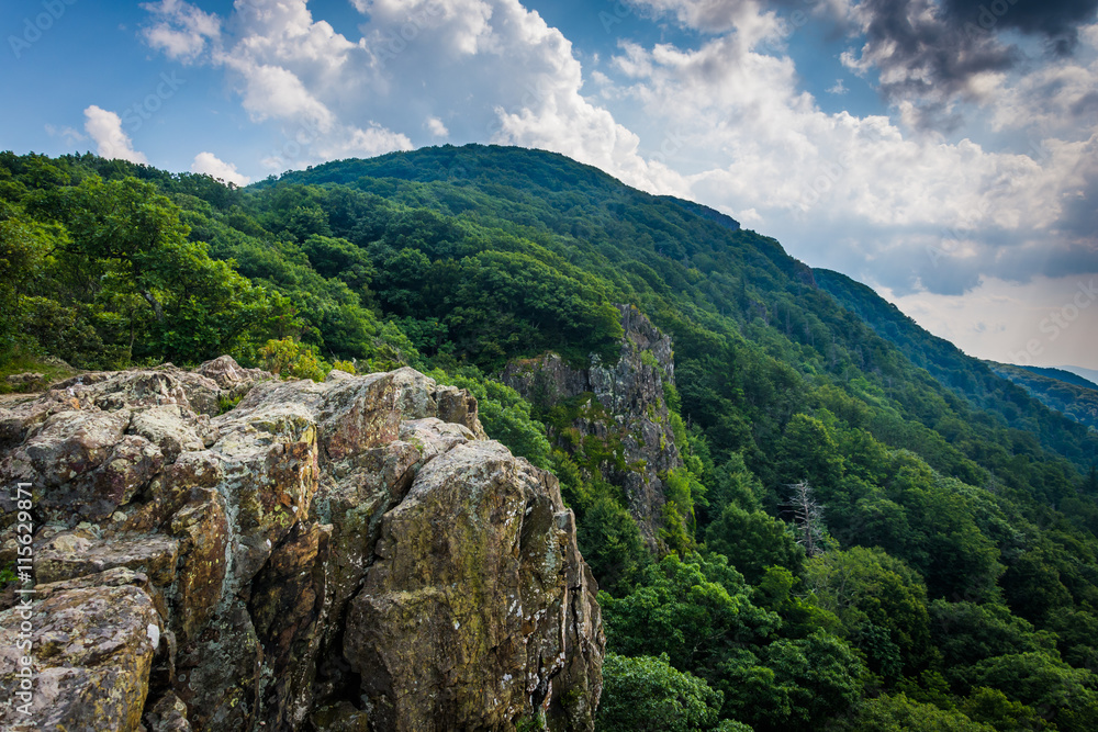View of the Blue Ridge Mountains from Little Stony Man Cliffs in