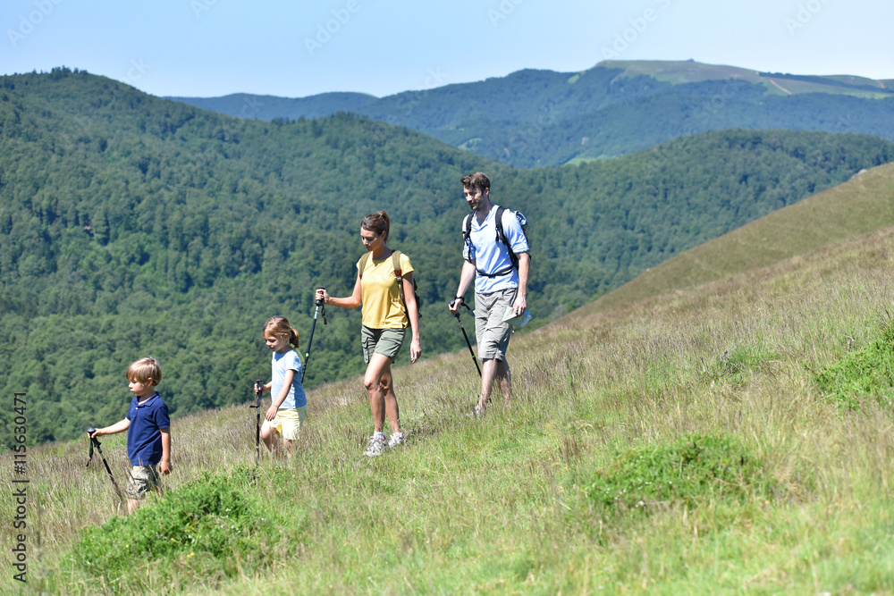 Family of four hiking in the mountain