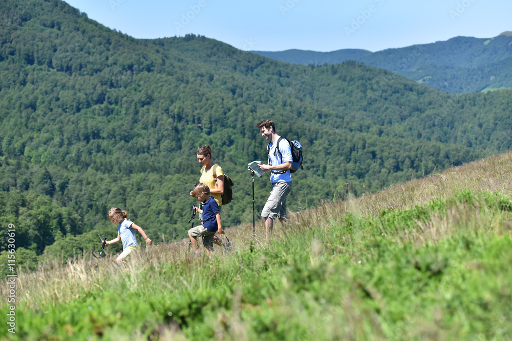 Family of four hiking in the mountain