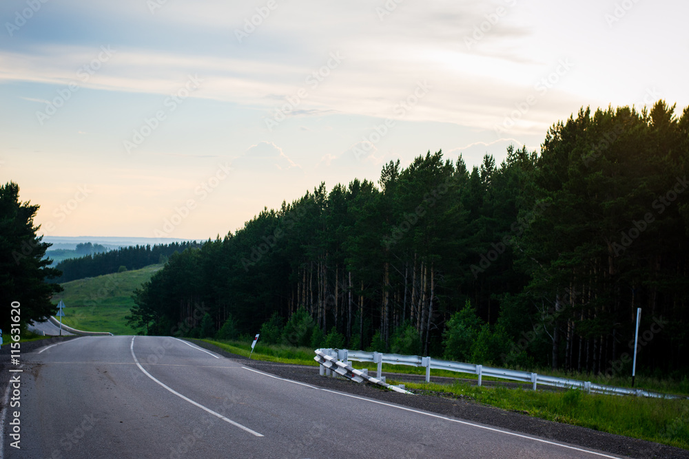 Fototapeta premium природа