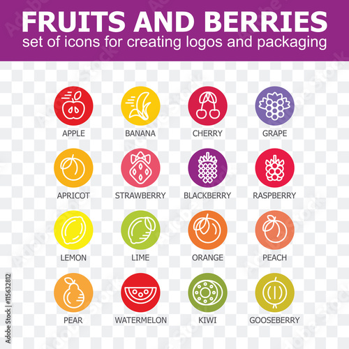 Fruit and berries icon collection - vector illustration. Fruit and berries icons set for creating logos and packaging. Fruit and berries line icons.