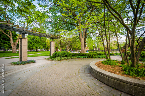 Photography Walkway and trees, at the Allan Gardens, in the Garden District,