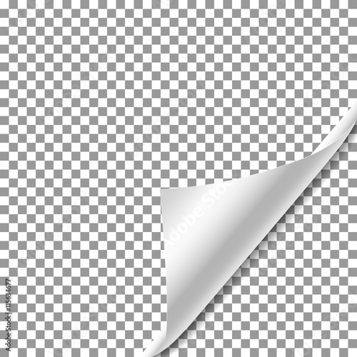 White gradient Paper curl with shadow isolated on transparent ba