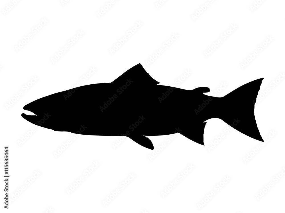 Naklejka premium Atlantic salmon silhouette. Vector illustration.