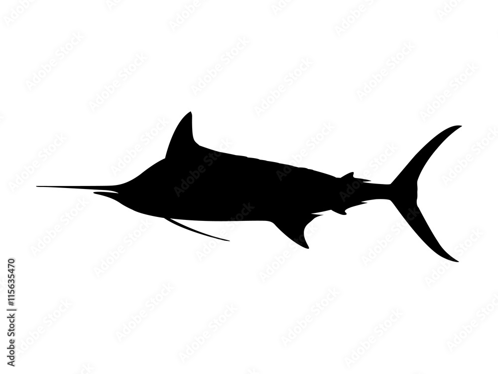 Fototapeta premium Atlantic blue marlin silhouette. Vector illustration.