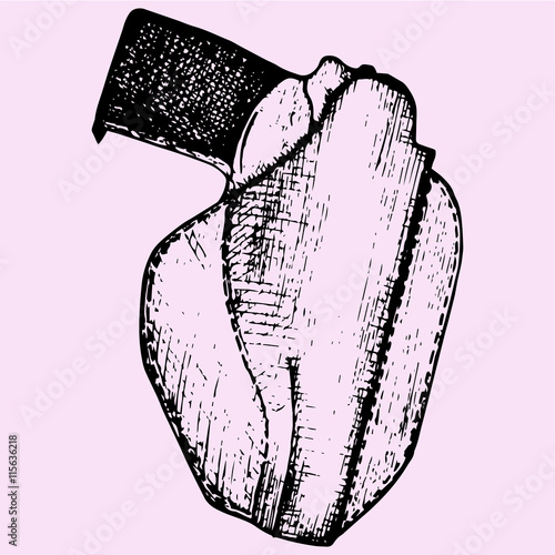 Gun in holster doodle style sketch illustration hand drawn vector