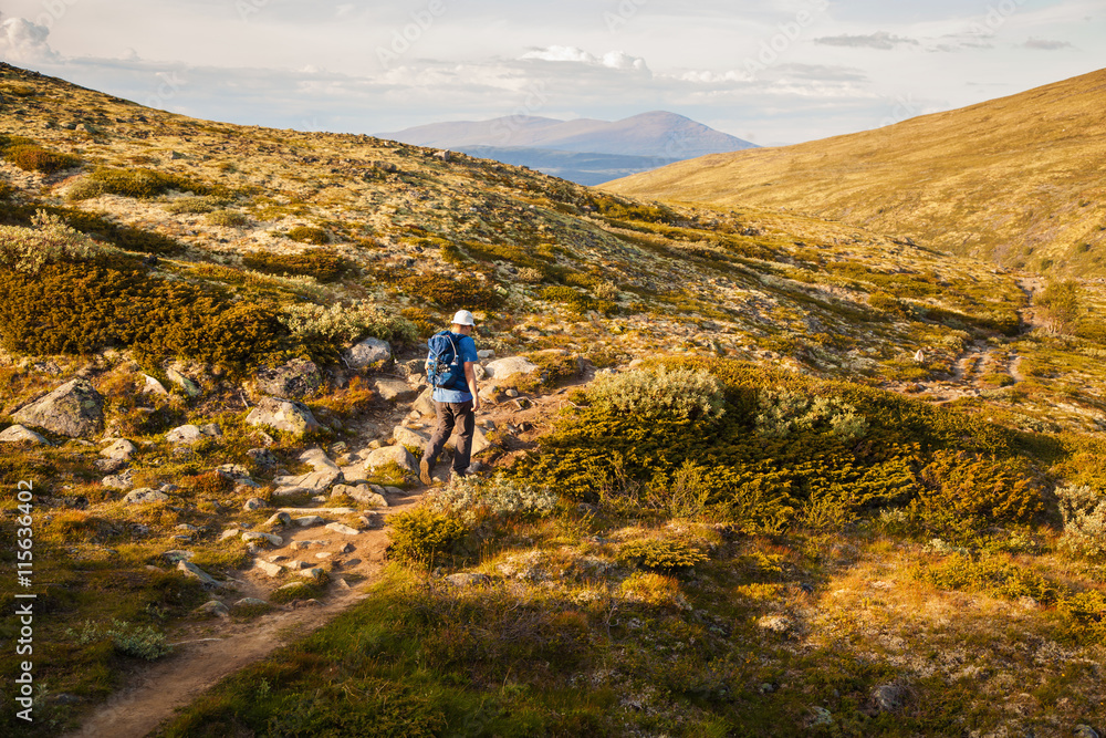 hiker with backpack traveling in Norway mountains Dovre