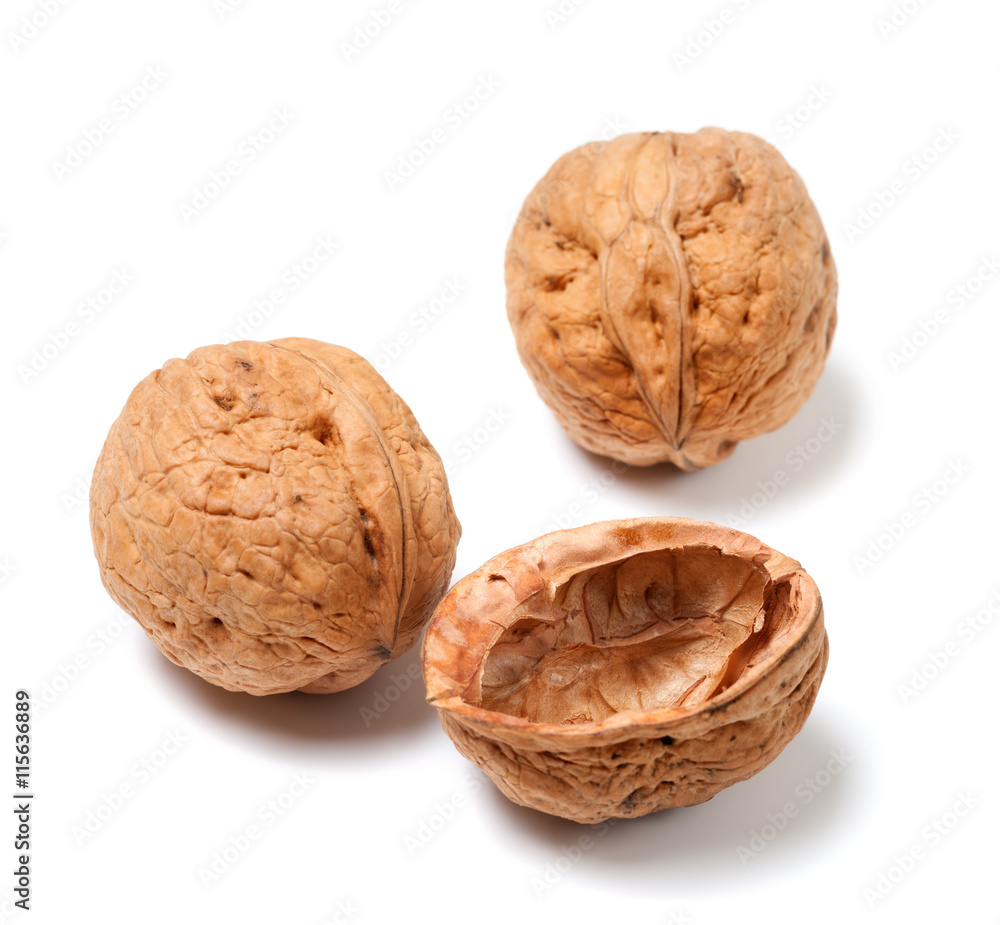 Ripe walnuts on white Ripe walnuts on white