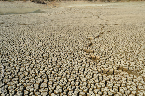 Drought land dry and cracked soil in arid season