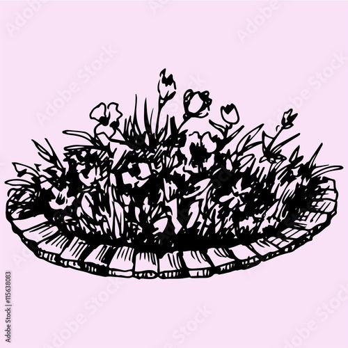flowers in flowerbed doodle style sketch illustration hand drawn vector