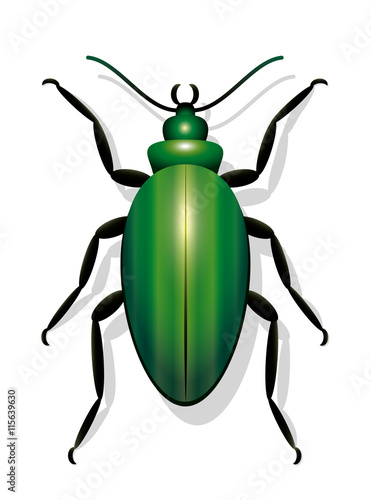 Green beetle - icon vector illustration on white background.