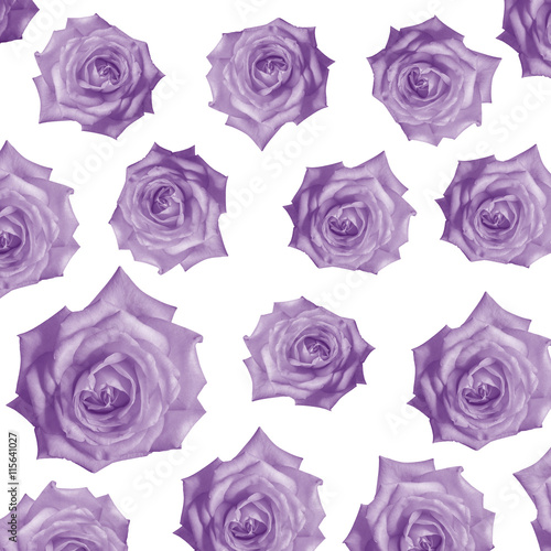 pattern Flower  rose flower print in soft colors made from fabri