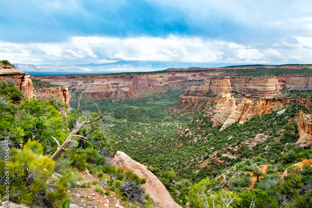 Landscape in Colorado National Monument  in USA
