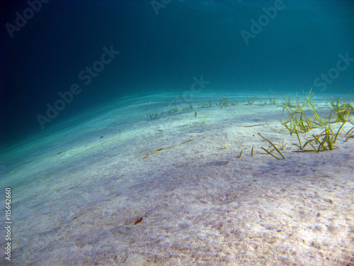 Marine trench in the sand