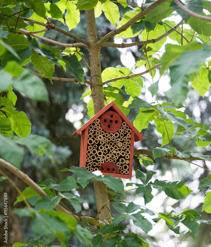 Insektenhotel uaf dem Friedhof photo