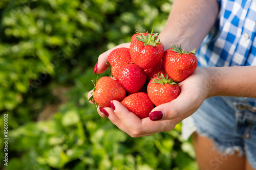 Frau mit Hand voller frischer Erdbeeren
