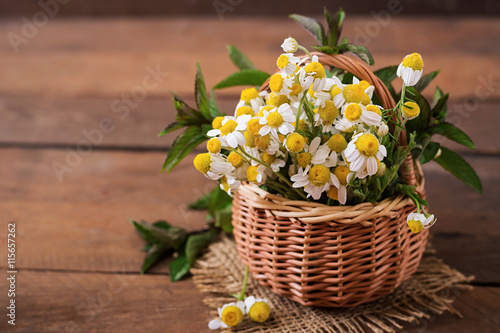 Bouquet of daisies in a basket on a wooden background
