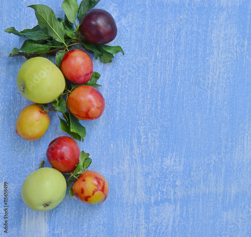 Apples and plums on a bright blue background.