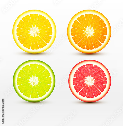 vector slices of orange, grapefruit, lime , lemon isolated on wh