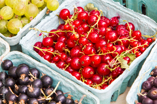 Fresh currant berries on display at a local market