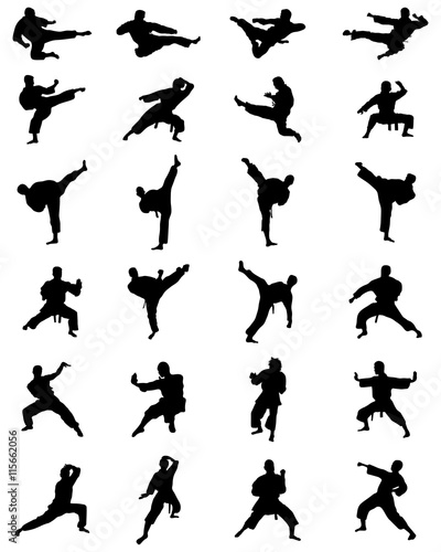 Black silhouettes of karate fighting, vector