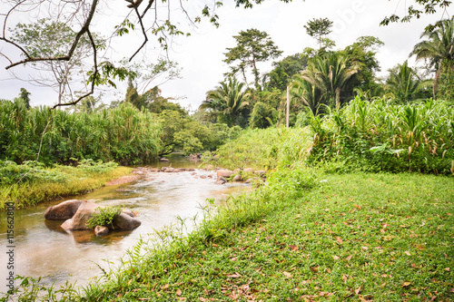 Beautiful rural landscape of the jungle in Cockscomb Basin Wildlife sanctuary, Stann Creek, BElize