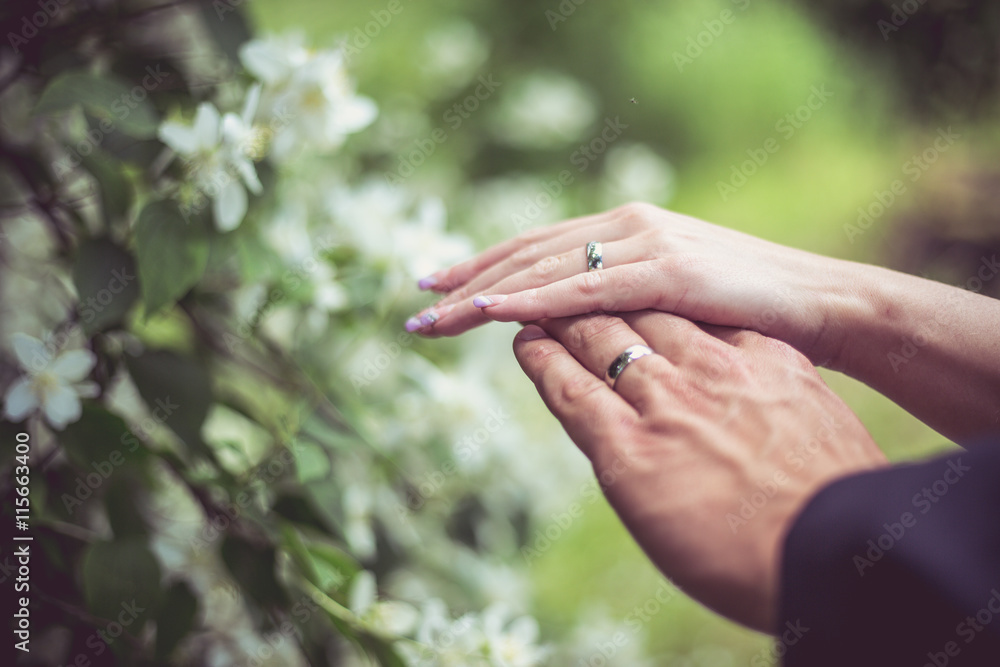 Wedding couple hands with rings Wedding couple hands with rings