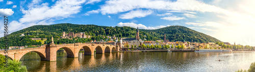 Heidelberg Panorama, Schloss und Alte Brücke  photo