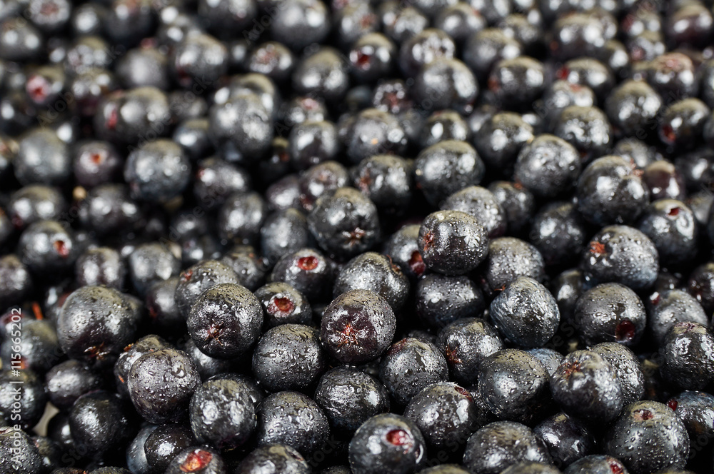 A pile of chokeberry fruits. Fruit background A pile of chokeberry fruits. Fruit background