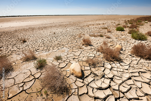 arid and waste land